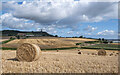 J4870 : Straw bales near Scrabo by Rossographer