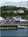 NM8530 : Oban - Distillery and McCaig's Tower by Rob Farrow