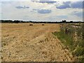 TL2534 : Harvested field by Halfway Farm by Philip Jeffrey