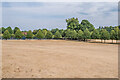 TQ2549 : Priory Park - 2022 drought by Ian Capper