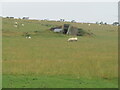 NT8466 : Bunker on the edge of Drone Hill by M J Richardson