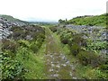 NM7317 : Easdale - Coastal path by Rob Farrow