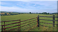 NZ3144 : Farmland beside Pittington Lane by Des Blenkinsopp