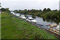 SO8551 : Cruisers moored on the River Severn by Philip Halling