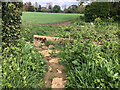 SP0400 : Stone Stile, Preston near Cirencester by Jayne Tovey