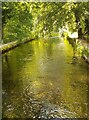 SU3327 : Mottisfont - View southwards along the River Test by Rob Farrow