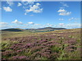 NS9628 : Moorland between Devonshaw Hill and Whiteside Hill by Alan O'Dowd