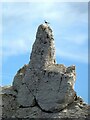 SZ2984 : The Needles - Pointing-finger chalk rock formation by Rob Farrow