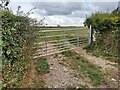 ST2706 : Metal Gate to a Field by John P Reeves