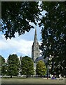 SU1429 : Salisbury - Cathedral amongst the trees by Rob Farrow