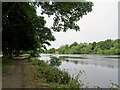 NY9364 : Riverside walk at Hexham by Robert Graham