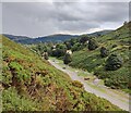 SO4494 : Carding Mill Valley at Church Stretton by Mat Fascione