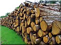 SK2671 : Log pile  by Graham Hogg