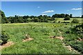 SP3272 : The Sowe valley south of Stoneleigh by Robin Stott