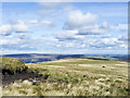 NY9434 : Grassy moorland beyond peat bank by Trevor Littlewood