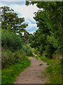 SO8882 : A bridleway on the border of Stourbridge by Oliver Mills