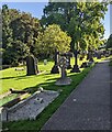 ST6834 : Churchyard crosses and trees, Bruton by Jaggery