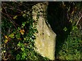 SD5040 : Old Milestone Marker 44-13 F (between bridges 47-46), Lancaster Canal by Cactus Chris