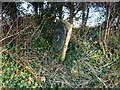 SD4634 : Old Milestone Marker 50-07 F (between bridges 30-29), Lancaster Canal by Cactus Chris