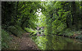 SJ8415 : Shropshire Union Canal towards the Rye Hill Cutting  Bridge by Trevor Littlewood