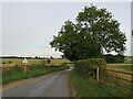 TL3221 : Whempstead Lane, near Dane End, Hertfordshire by Malc McDonald