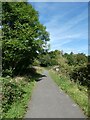 ST0893 : Taff Trail south of Abercynon by David Smith