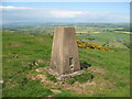 NY0875 : Triangulation Pillar, Almagill Hill by Adrian Taylor