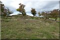 SP1559 : Mounds from former quarry workings by Philip Halling