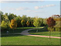 TQ4580 : Autumn colours, Thamesmead by Malc McDonald