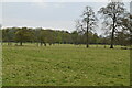 TL3350 : Wimpole Park (set of 5 images) by N Chadwick