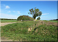 TL6551 : A farm track on the county boundary by John Sutton