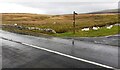 NY7402 : SE parapet  of Crooks Beck South Bridge taking Egdale Lane over stream by Roger Templeman