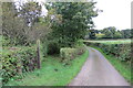 NT8844 : Footpath  through  wood  to  Tweed  riverbank by Martin Dawes