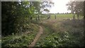 TF1506 : Footpath through the fields near Glinton by Paul Bryan