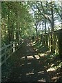 SS7986 : Path on National Cycle Route 4 by Margam Interchange by eswales