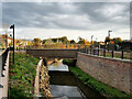 SJ8597 : River Medlock, Mayfield Park by David Dixon