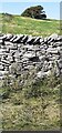 NY7503 : Grass field with ruined wall on north side of Tommy Road viewed over roadside wall by Luke Shaw