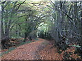 TL2810 : Deadfield Lane, Letty Green, near Hertford by Malc McDonald