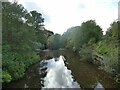 SJ8663 : The Dane downstream of Congleton Park by Stephen Craven