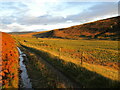 NS6919 : The Glenmuirshaw track below Tarrioch Braes by Alan O'Dowd