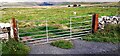 NY7504 : Moorland view through gateway on east side of A683 north of Three Milestone Quarry by Roger Templeman