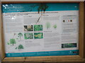 TQ1342 : Information Board at Windy Gap Car Park by David Hillas