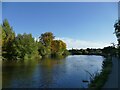 SJ4912 : The Severn below English Bridge, Shrewsbury by Stephen Craven