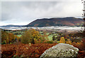 NY2223 : Boulder among the bracken, Kinn by Andy Waddington