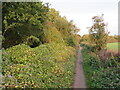 TL6021 : Flitch Way, near Great Dunmow by Malc McDonald