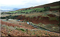 NY2222 : Meanders in Coledale Beck by Andy Waddington