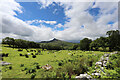 SH7357 : Pasture above Pont Cyfyng by Andy Waddington