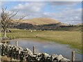 NY4022 : Little Mell Fell by Adrian Taylor