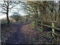 SJ8048 : Path at the edge of Podmore Wood by Jonathan Hutchins