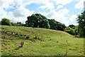 SO2981 : Earthwork near the Shropshire Way by Jeff Buck